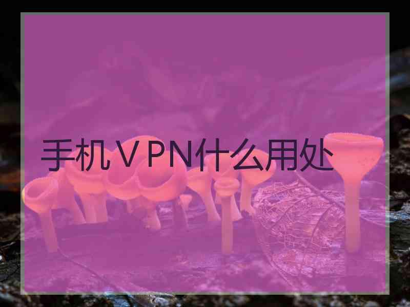 手机ⅤPN什么用处
