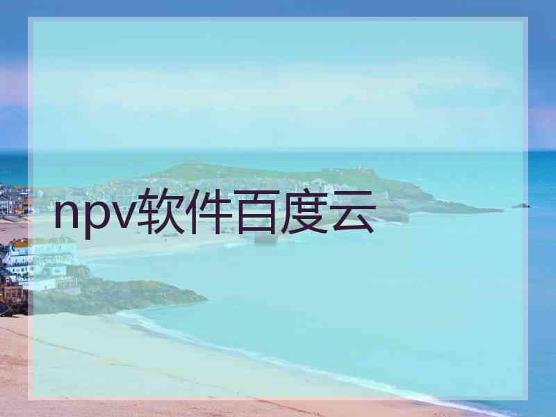 npv软件百度云