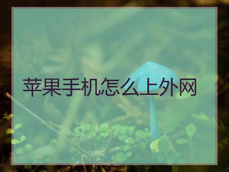 苹果手机怎么上外网