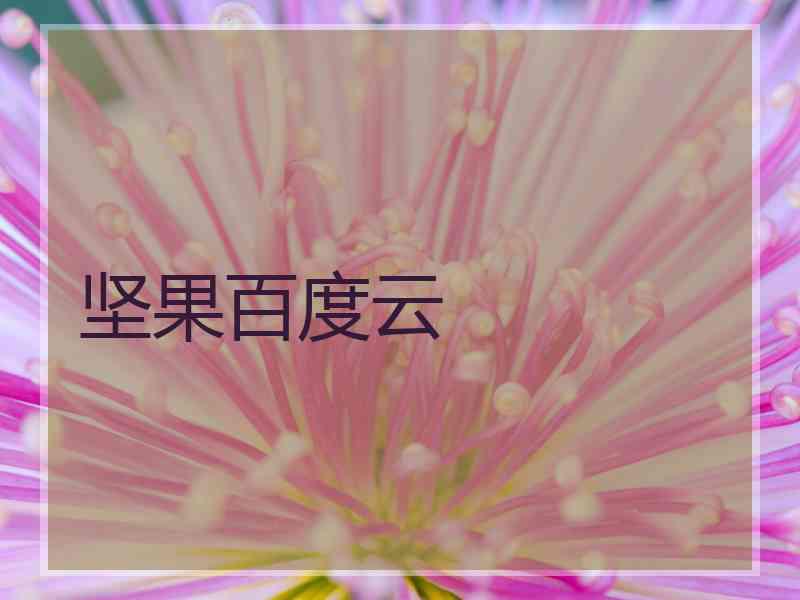 坚果百度云