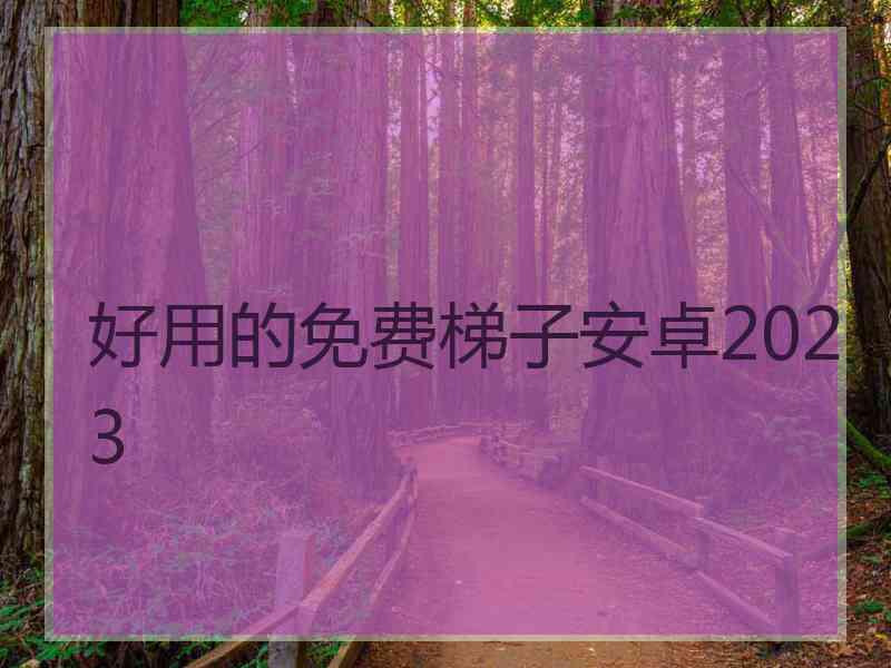 好用的免费梯子安卓2023