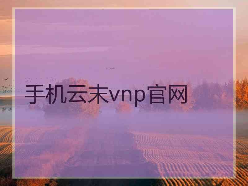 手机云末vnp官网